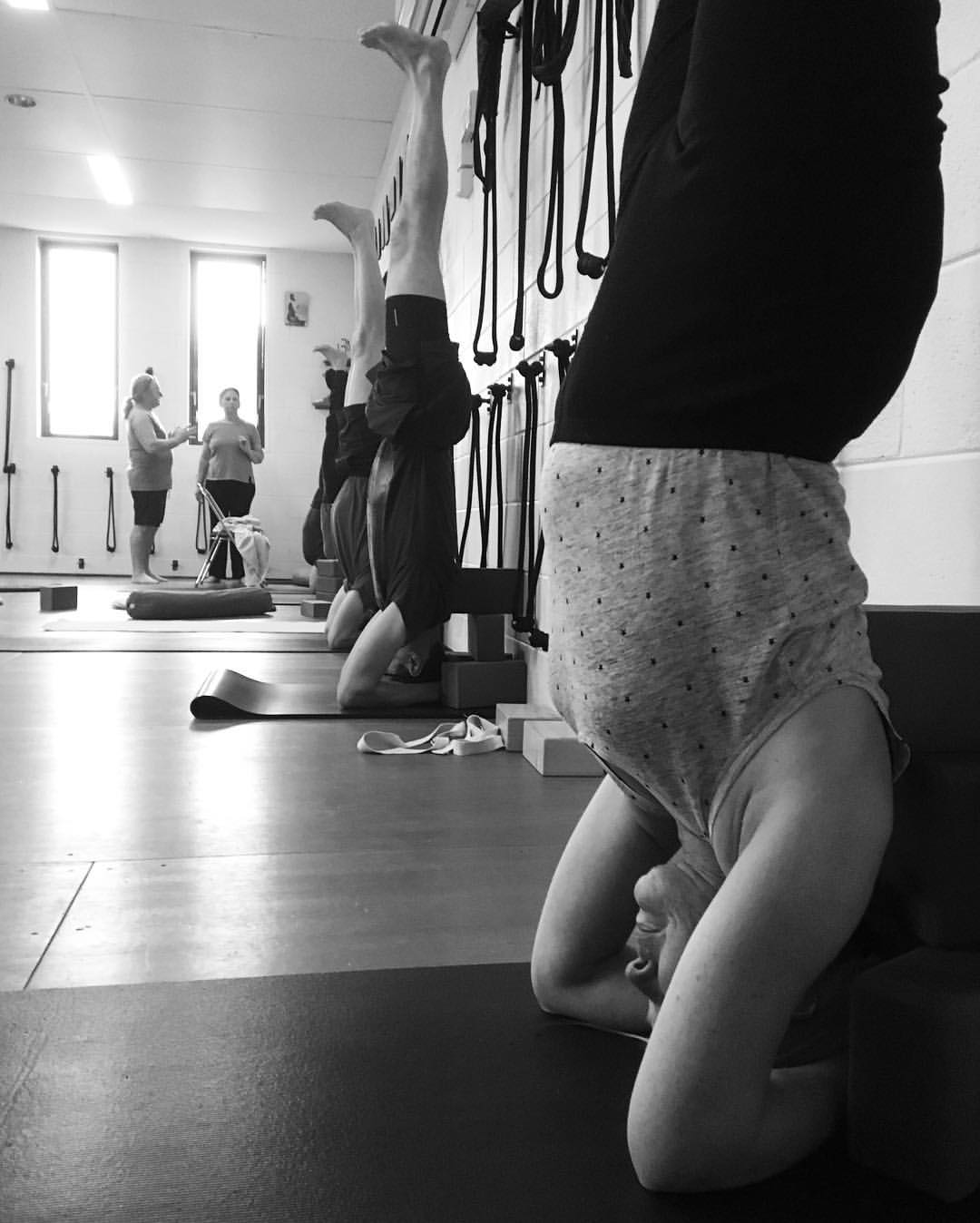 Best Iyengar Yoga Courses Best Iyengar Yoga Courses